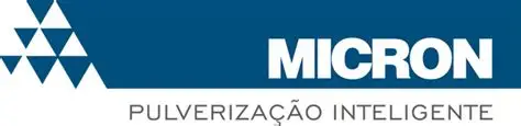 Micron